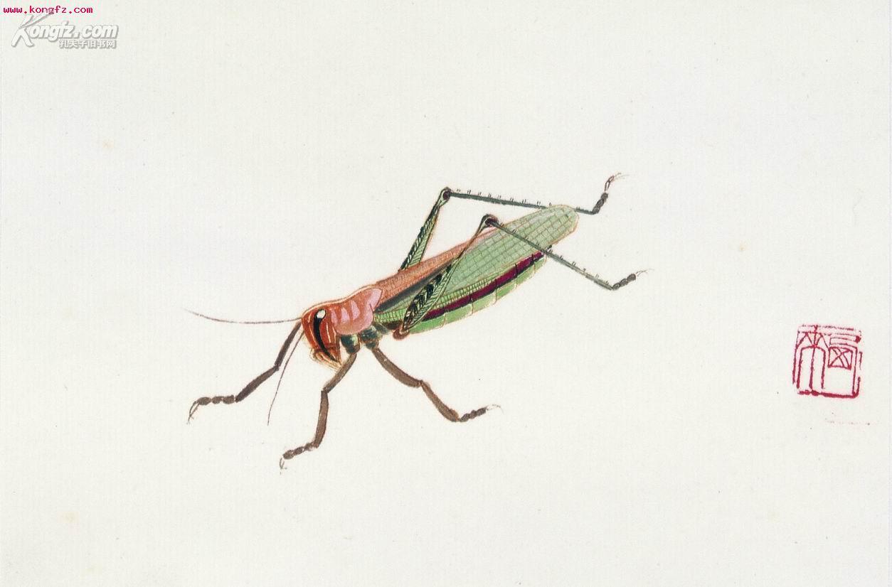 齐西来 草虫册页