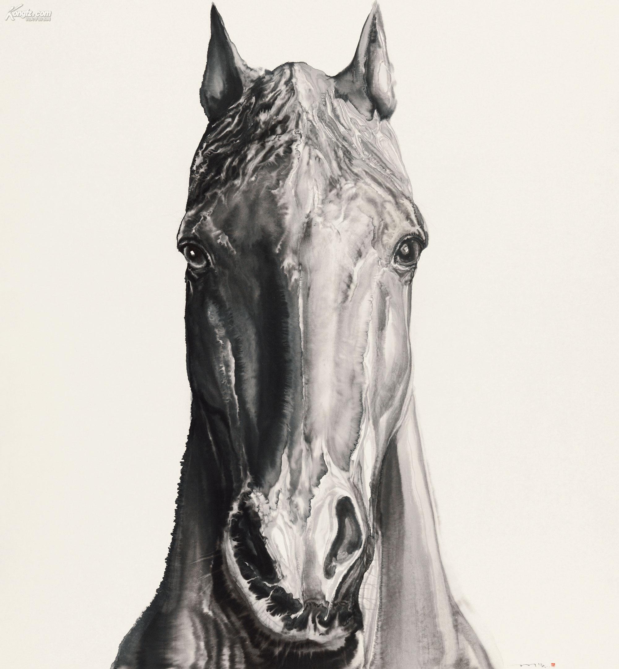 孔夫子拍卖公司联盟