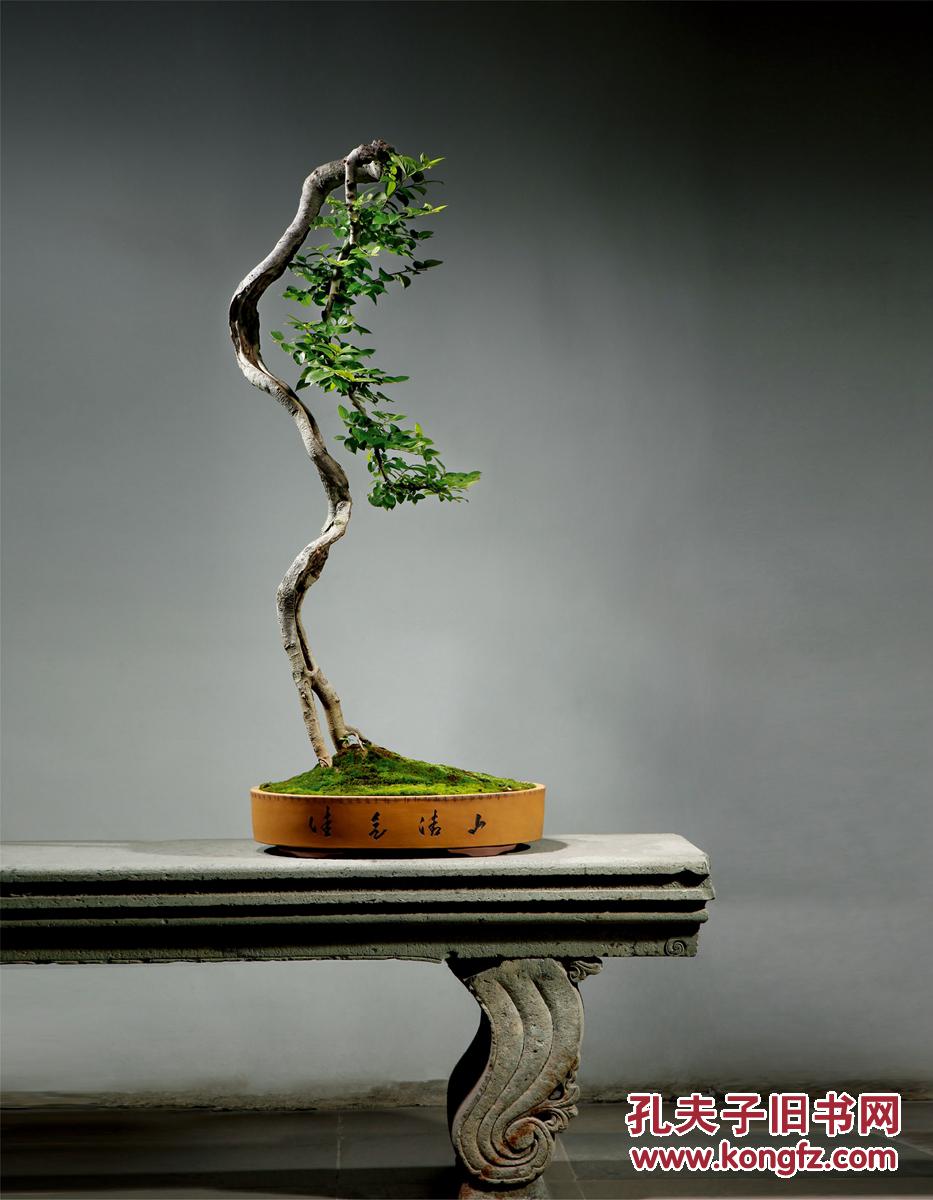 孔夫子拍卖公司联盟