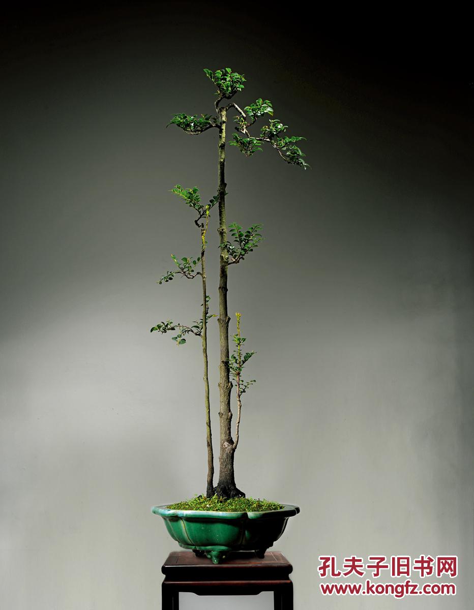 孔夫子拍卖公司联盟