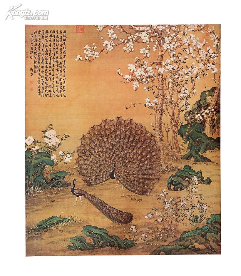 郎世宁《孔雀开屏图》